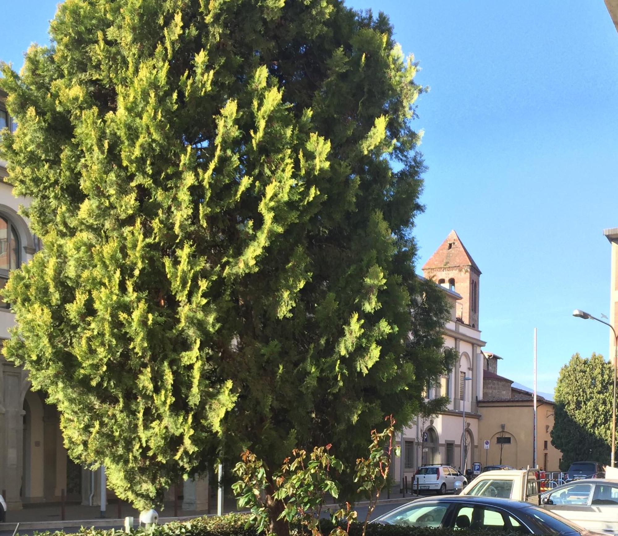 San Donato Flat Lejlighed Firenze Eksteriør billede